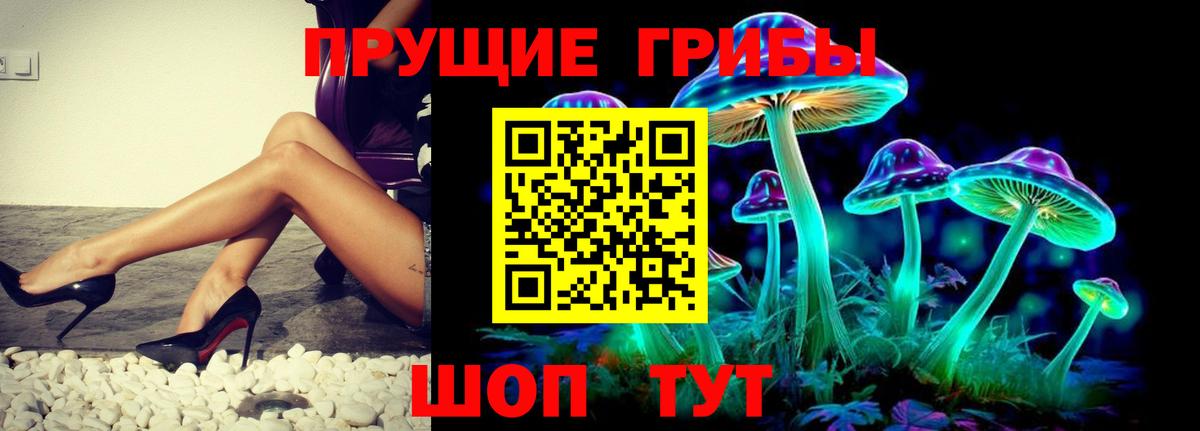 Лесной  Галлюциногенные грибы GOLDEN TEACHER  Галлюциногенные грибы Psilocybine cubensis  Вход с VPN 